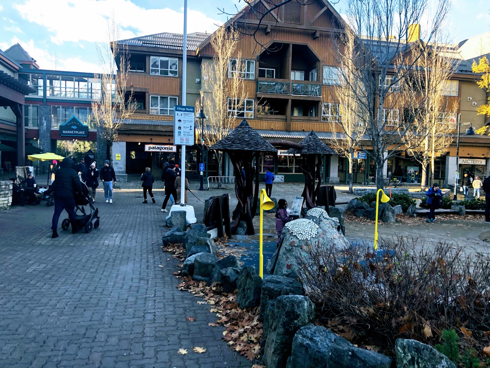 Whistler family tour