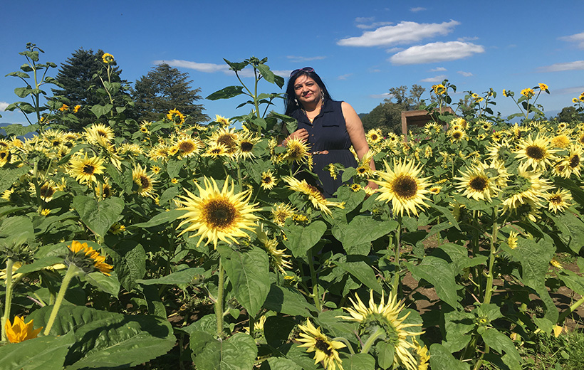 Vancouver sunflower festival