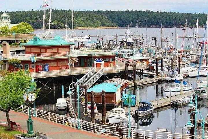 Vancouver to Nanaimo, Ucluelet, Tofino 2 Days Harbor City Tour Private @ Globalduniya