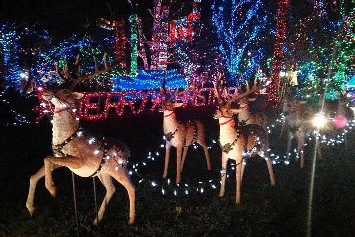 Vancouver Christmas light tour@ Globalduniya