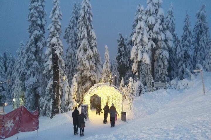 Vancouver Capilano Canyon light and peak of Christmas in Grouse mountain tour @ Globalduniya