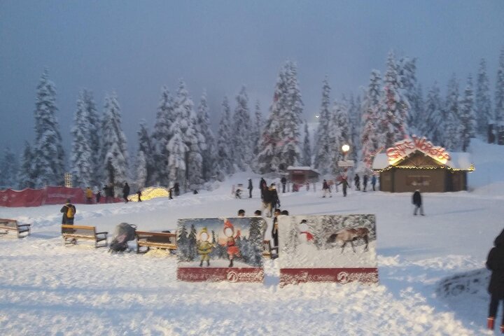 Vancouver Capilano Canyon light and peak of Christmas in Grouse mountain tour @ Globalduniya