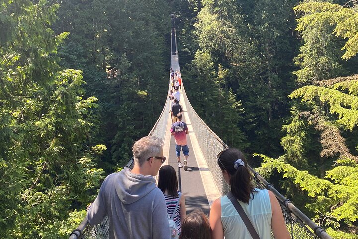 Vancouver Capilano Canyon light and peak of Christmas in Grouse mountain tour @ Globalduniya