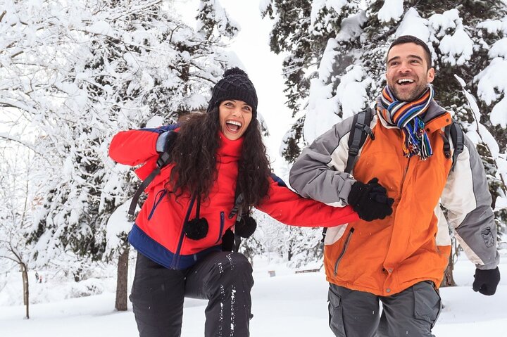 Vancouver Capilano Canyon light and peak of Christmas in Grouse mountain tour @ Globalduniya