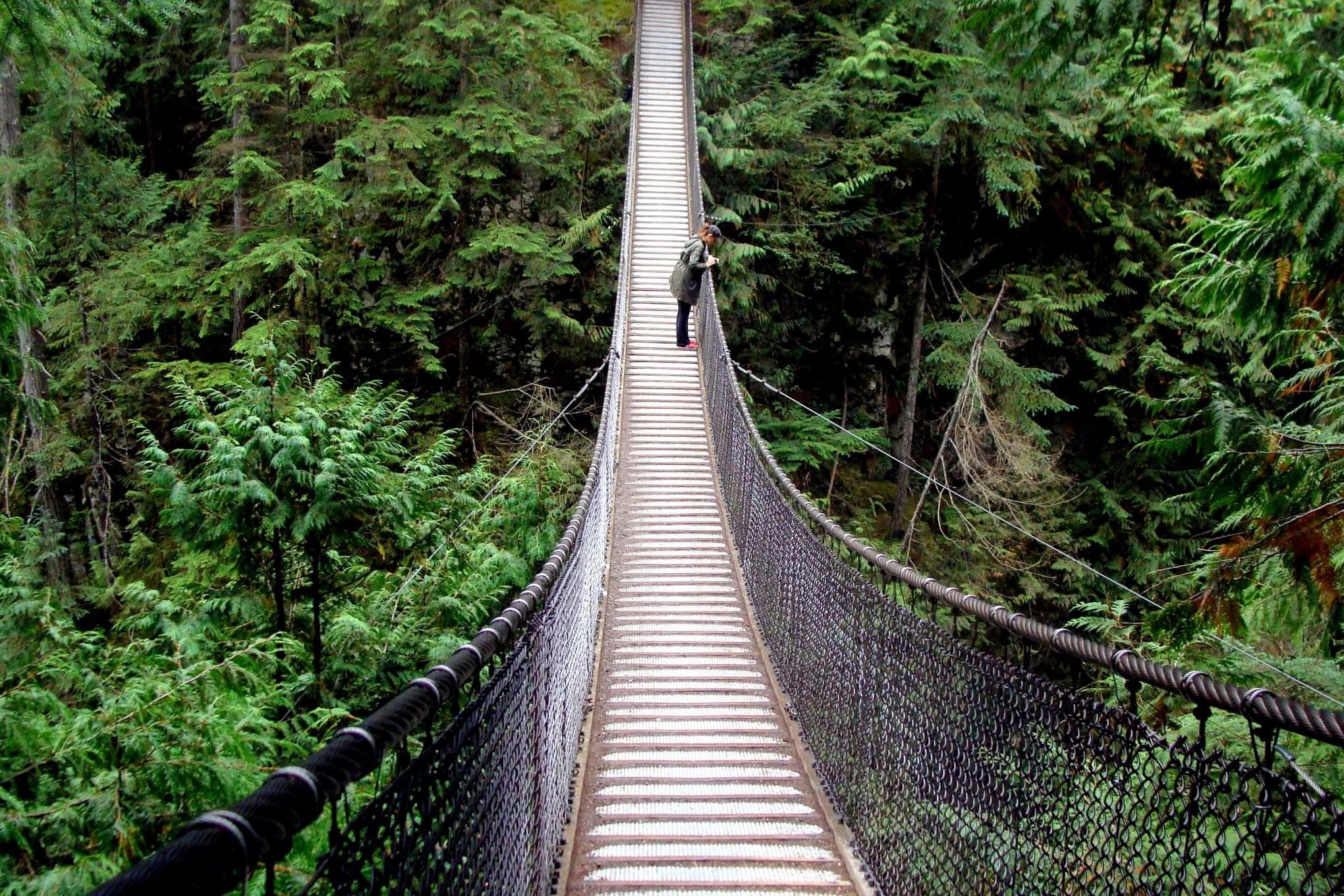 Capilano Suspension Bridge Park Price 2024 Dates Alta Tatiania