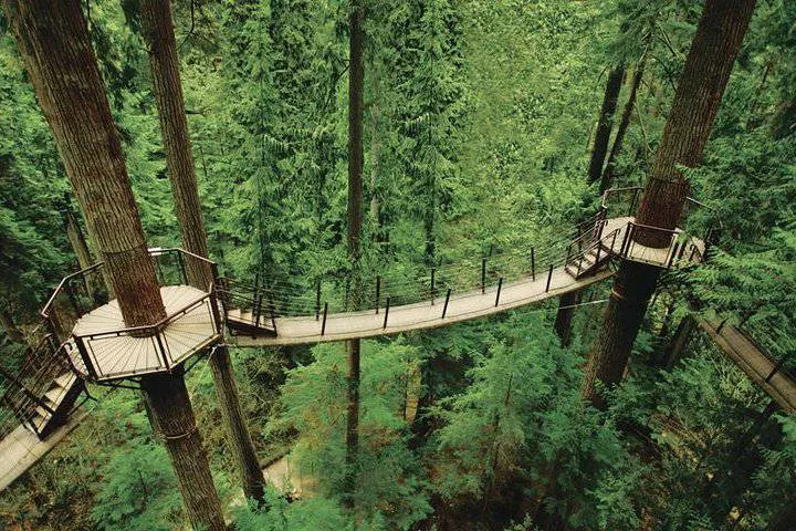 Capilano suspension bridge-Vancouver city tour ,Globalduniya