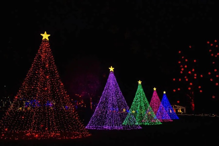Victoria Christmas light tour @ Globalduniya 