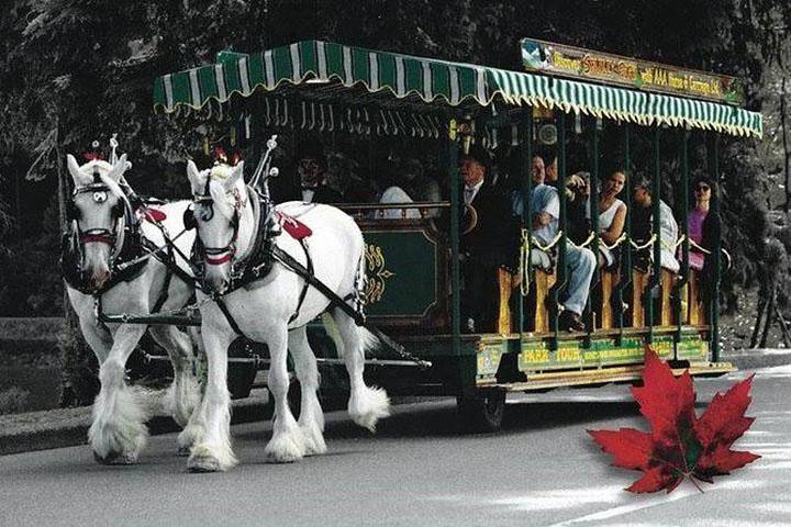 Horse drawn trolly ,Vancouver city tour Globalduniya